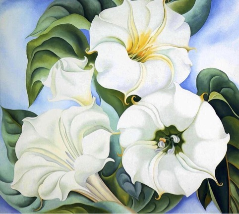 Georgia O’Keeffe, Jimson Weed, 1936, 180 x 212 cm